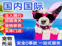 唐山三女河机场空运国际宠物托运 【国